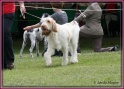 01-06-12 M GoodAsGold_IMG_IMG_6319